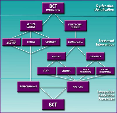 Theoretical Basis